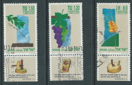 1993 ISRAELE USATO NUOVO ANNO 5754 CON APPENDICE - T14-9 - Usati (con Tab)