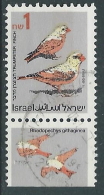 1995 ISRAELE USATO UCCELLI 1 S CON APPENDICE - T15-6 - Used Stamps (with Tabs)