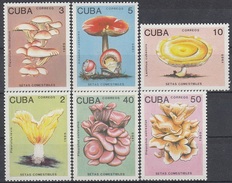 CUBA 3257-3262,unused,mushrooms - Neufs
