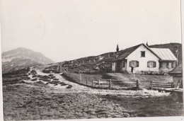 SUISSE,SWITZERLAND,SWISS, HELVETIA,SCHWEIZ,SVIZZERA,SAINT GALL,SPEER,TANZBODENHUTTE,CARTE PHOTO - Sankt Gallen