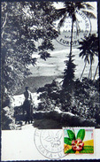 POLYNESIE DOM TOM  WALLIS ET FUTUNA  CARTE PREMIER JOUR VOIR LE DOS 2 SCAN - Wallis Und Futuna