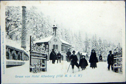 SUISSE  SWISS  GRUSS VON HOTEL ALTENBERG  ANIMATION NEIGE CARTE PIONNIERE 1900 - Berg