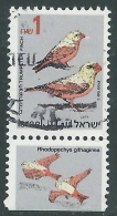 1995 ISRAELE USATO UCCELLI 1 S  CON APPENDICE - T16-8 - Used Stamps (with Tabs)