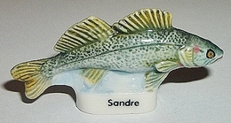 Poisson Sandre (BN) - Animaux