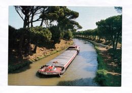 11 Sallèles D'Aude En Parcourant Le Languedoc Le Canal Du Midi   Péniche  N°P.P.152  TBE - Salleles D'Aude