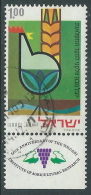 1971 ISRAELE USATO RICERCA AGRICOLA VOLCANI CON APPENDICE - T18-3 - Used Stamps (with Tabs)
