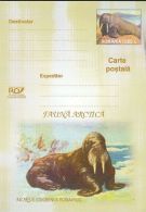 64739- WALRUS, ARCTIC WILDLIFE, POSTCARD STATIONERY, 2003, ROMANIA - Arctische Fauna