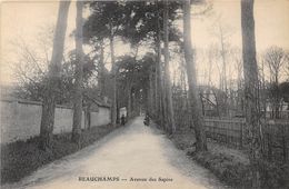 95-BEAUCHAMPS- AVENUE DES SAPINS - Beauchamp