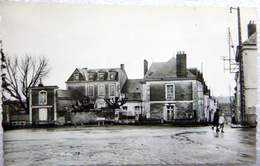 72 LE GRAND LUCE PLACE DE LA MAIRIE  CARTE ANNEE 1950 - Le Grand Luce