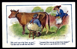 CPA ANCIENNE FRANCE- ILLUSTRATION HUMORISTIQUE  ANIMAUX- SIGNÉE : MAC-GILL- LA VACHE- PAS DE LAIT AU "FRONT" - Mc Gill, Donald