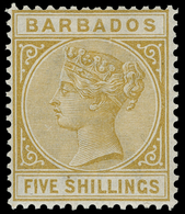 Barbados - Lot No. 210 - Barbades (...-1966)