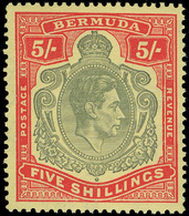 Bermuda - Lot No. 262 - Bermudas