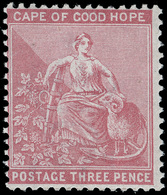 Cape Of Good Hope - Lot No. 461 - Cabo De Buena Esperanza (1853-1904)