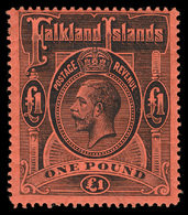 Falkland Islands - Lot No. 567 - Falkland