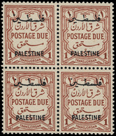 Jordan - Lot No. 731 - Jordania