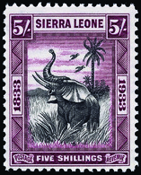 Sierra Leone - Lot No. 1189 - Sierra Leone (...-1960)