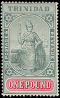 Trinidad - Lot No. 1349 - Trinidad Y Tobago