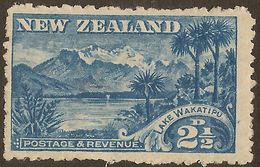 NZ 1898 2 !/2d Wakatipu P11 SG 308 HM #AAN143 - Neufs