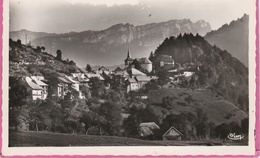 17 / 8 / 269  -   MASSIF  DES  BAUGES  -  LE  CHATELARD  ( 73 )  - CPSM - Le Chatelard