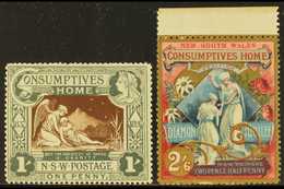 NEW SOUTH WALES  1897 Diamond Jubilee And Hospital Charity Complete Set, SG 280/81, Very Fine Mint, Very Fresh. (2 Stamp - Other & Unclassified
