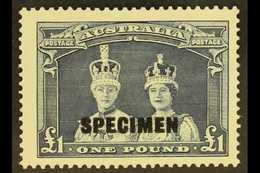 1937-49  £1 Bluish Slate Robes With "SPECIMEN" Overprint, SG 178s, Fine Mint, Very Fresh & Scarce. For More Images, Plea - Other & Unclassified