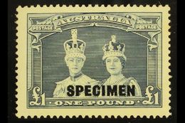 1938  £1 Bluish Slate "Robes" Overprinted "SPECIMEN", SG 178s, Never Hinged Mint. Very Scarce And Desirable. For More Im - Other & Unclassified