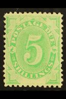 POSTAGE DUE  1902 5s Emerald-green, SG D8, Very Fine Mint. For More Images, Please Visit Http://www.sandafayre.com/itemd - Other & Unclassified