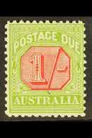 POSTAGE DUES  1931-36 1s Carmine & Yellow-green Perf 11, SG D111, Fine Never Hinged Mint, Very Fresh. For More Images, P - Other & Unclassified