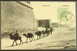 OFFICES IN CHINA  1908 Untravelled Ppc Of Camel Train Passing Great Wall Franked 5h Green And Tied By Fine Strike Of  Ku - Other & Unclassified