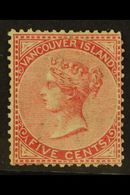 1865  5c Rose Perf 14 (SG 13, Unitrade 5), Mint, A Few Shortish Perfs, Fresh Colour. For More Images, Please Visit Http: - Other & Unclassified