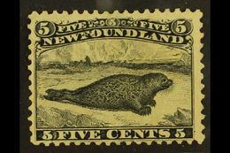 1868-73  5c Black MAJOR RE-ENTRY Position 13 (Unitrade 26, SG 38), Unused No Gum, Small Thin. This Is Probably The Most - Other & Unclassified