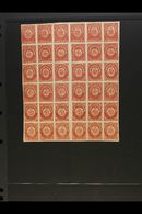 FORGERIES  1862-64 ONEGLIA (sometimes Attributed To Panelli) Engraved COMPLETE SHEET Of 36 On Gummed Paper - Six Rows Of - Other & Unclassified
