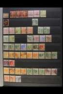 1880-1955 MINT & USED COLLECTION  With Light Duplication On Stock Pages, Inc 1880 ½d Plate 12 Mint & 1d (x3, Plates 205, - Other & Unclassified