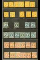 1859  Unusual Study Group Of Mint/unused Issues, SG 1-3,  Comprising (½d) Orange (12), (1d) Blue (11), (2d) Carmine (15) - Other & Unclassified