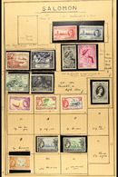 1907-74 CHIEFLY MINT COLLECTION  Presented On Pages. Inc 1907 ½d, 1908-11 Canoe Set To 1s Used, KGV Defin Range To A Min - Other & Unclassified