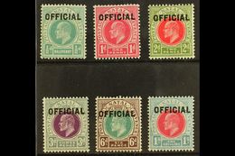 NATAL  OFFICIALS 1904 Ed VII Set, SG O1/6, Very Fine Mint (½d Couple Tone Spots). (6 Stamps) For More Images, Please Vis - Other & Unclassified
