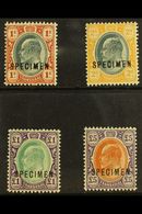 TRANSVAAL  1903 Ed VII Set To £5 Ovptd "Specimen", SG 256s/9s, Very Fine Mint, Large Part Og (4 Stamps) For More Images, - Other & Unclassified