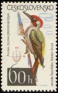 Czechoslovakia / Stamps (1964) 1402: Forest And Garden Birds (Picus Viridis); Painter: Vladimir Kovarik - Specht- & Bartvögel