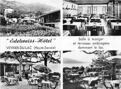 74-VEYRIER-DU-LAC- " EDELWEISS-HÔTEL-  MULTIVUES - Veyrier