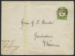 Dt. Reich 17b BRIEF, 1874, 1/3 Gr. Grausmaragdgrün Auf Drucksache Fr. Naumanns-Herings-Bericht, K1 HAMBURG BAHNHOF Nach - Used Stamps