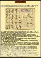 SAMMLUNGEN Brief,BrfStk , 1937-45, Motivsammlung Die Hitler-Jugend, Eine Hochinteressante Dokumentation Auf 65 Seiten Au - Gebraucht