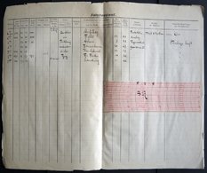 ZEPPELINPOST 4 , 1913, Viktoria Luise, 59 Verschiedene Fahrtberichte Für Den Zeitraum 19.8. - 29.10.13 Im Alten Leitzord - Airmail & Zeppelin