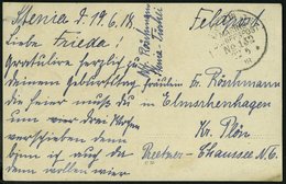 DP TÜRKEI 1918, MSP 132 (Torpedoboot), Ansichtskarte Aus STENIA, Pracht, R! - Deutsche Post In Der Türkei