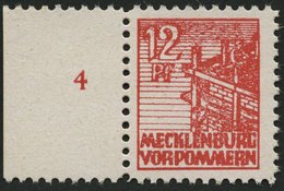 MECKLENBURG-VORPOMMERN 36xcc **, 1946, 12 Pf. Schwärzlichgraurot, Kreidepapier, Linkes Randstück, Pracht, Gepr. Kramp, M - Otros & Sin Clasificación