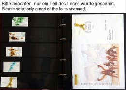 SAMMLUNGEN 2374-2706 O, 2004-08, 5 Komplette Gestempelte Jahrgänge, Ohne SK-Marken, Dazu Viele Erinnerungslätter Der Deu - Otros & Sin Clasificación