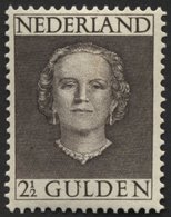 NIEDERLANDE 541 **, 1949, 21/2 G. Graubraun, Pracht, Mi. 200.- - Pays-Bas