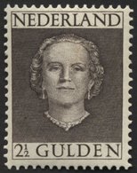 NIEDERLANDE 541 **, 1949, 21/2 G. Graubraun, Pracht, Mi. 200.- - Netherlands