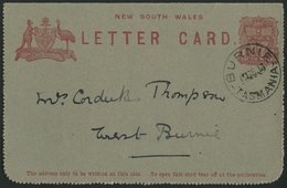 NEUSÜDWALES 1906, 1 D. Letter Card, Stempel BURNIE, Pracht - Gebraucht