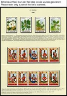 ST. HELENA 495-587 **, 1989-92, Komplett Mit Paralellausgaben Ascension Und Tristan De Cunha 1990, Fast Nur Auf Linder F - Isola Di Sant'Elena