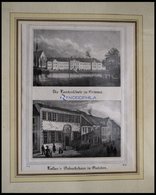 GRIMMA: Die Landesschule Und EISLEBEN: Luther`s Geburtshaus Auf Einem Blatt, Lithopraphie Aus Saxonia Um 1840 - Litografia